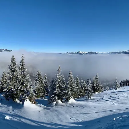 Apartman Magura Dóval